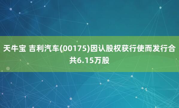 天牛宝 吉利汽车(00175)因认股权获行使而发行合共6.15万股