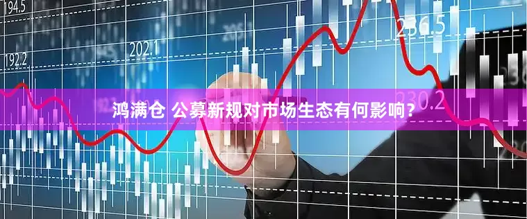鸿满仓 公募新规对市场生态有何影响？