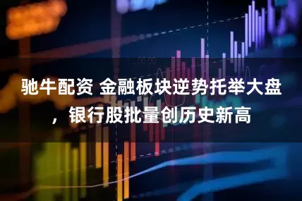 驰牛配资 金融板块逆势托举大盘，银行股批量创历史新高