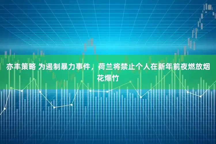 亦丰策略 为遏制暴力事件，荷兰将禁止个人在新年前夜燃放烟花爆竹