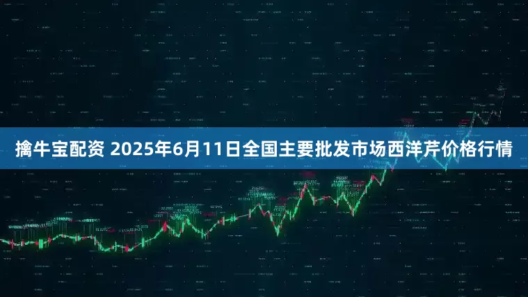 擒牛宝配资 2025年6月11日全国主要批发市场西洋芹价格行情